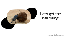 Get the ball rolling