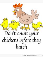 Don't Count Your Chickens before they hatch