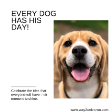 Every Dog Has his Day