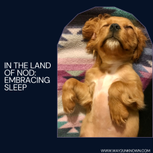 To be in the land of nod
